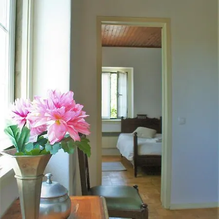 Delight * Sintra