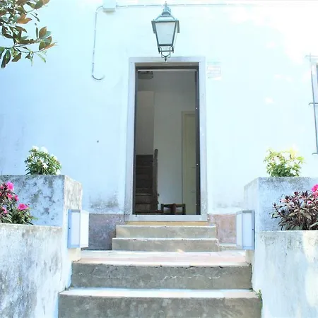 Delight * Sintra