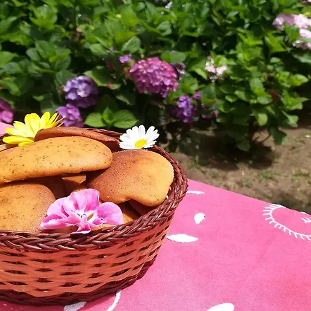 Casa de Férias Delight *