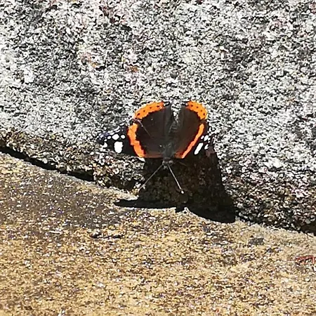 Delight Casa de Férias Sintra