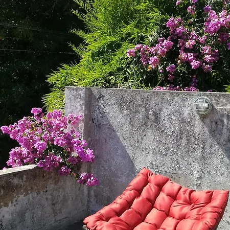 Delight * Sintra
